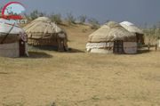 Safari Yurt Camp
